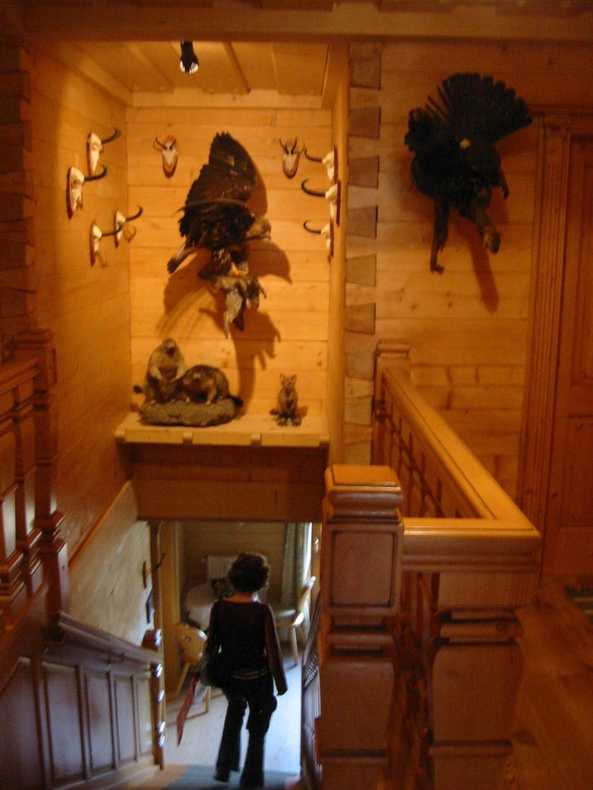Villa Steinbachgut à Flachau Extérieur photo
