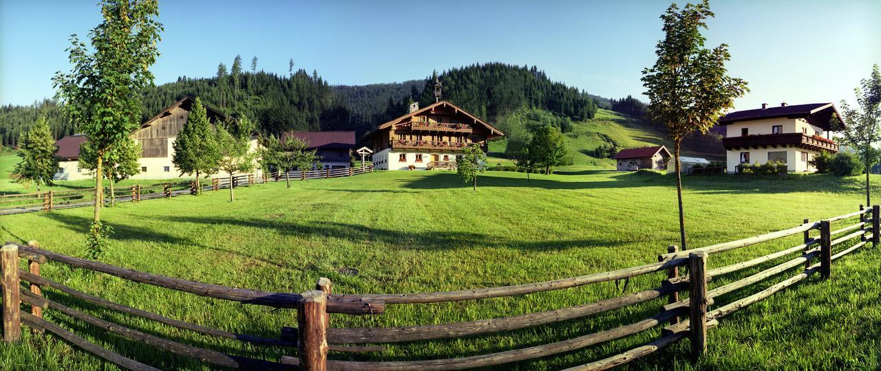 Villa Steinbachgut à Flachau Extérieur photo